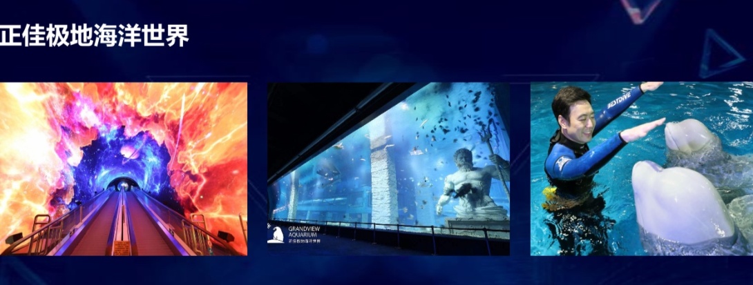 /uploads/image/2020/07/17/正佳2.jpg 正佳2.jpg